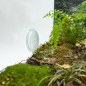 Preview: PLANTCUBE - Vivarium 60x30x30 Panorama Bundle